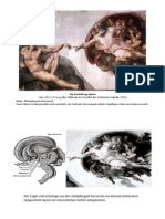 Hypothalamus Und Hypophyse