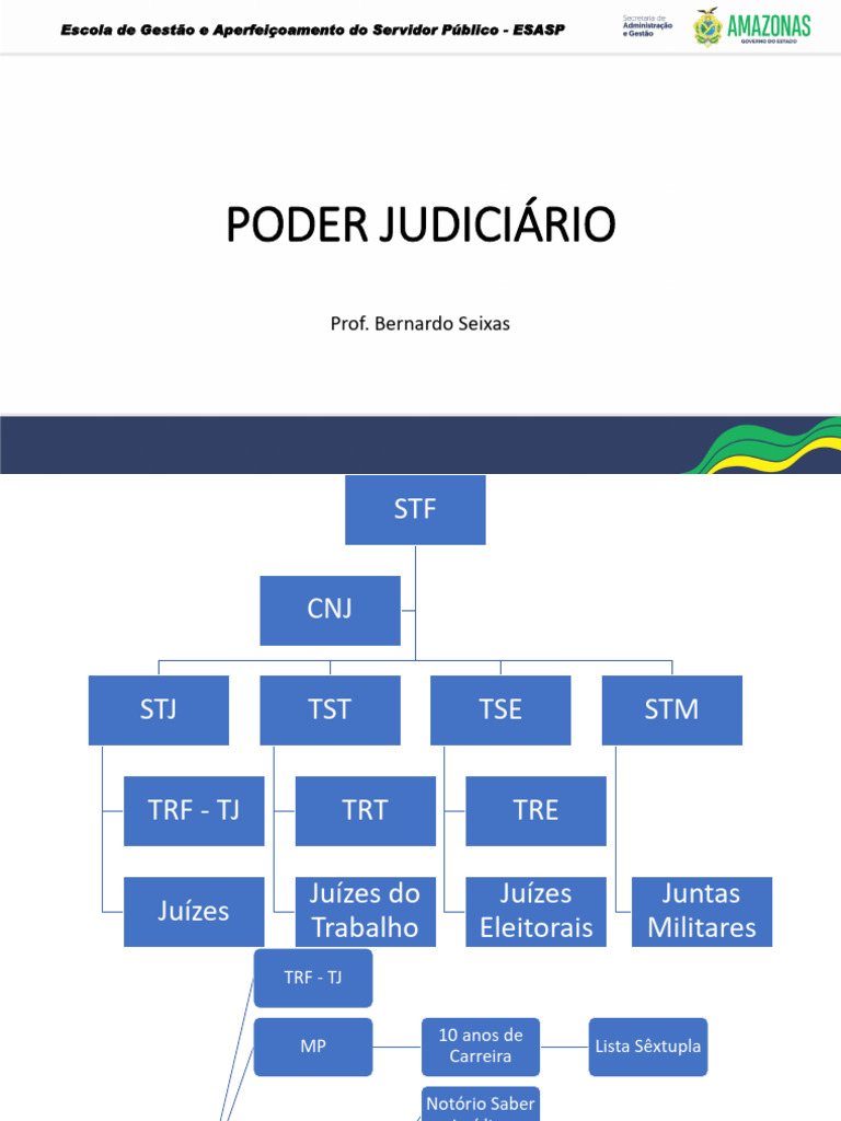 Mapa Mental do Poder Judiciário | PDF | Separação de Poderes | Direito ...