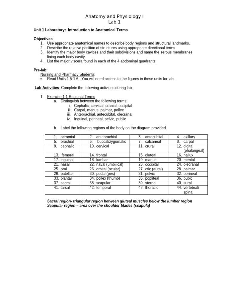 TA Lab 1 Gross Anatomy | PDF | Human Body | Abdomen