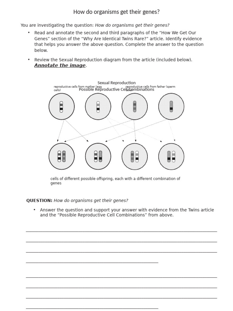How Organisms Inherit Their Genes | PDF | Sexual Reproduction ...