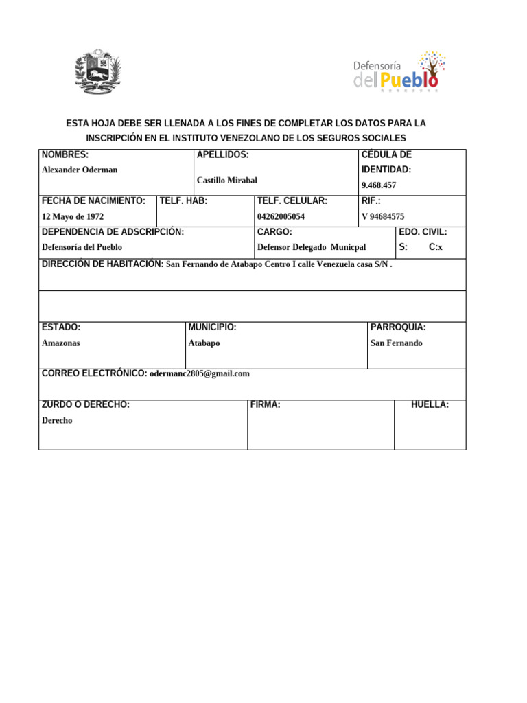 Formato para Ivss-2 | PDF