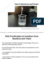 DNA Isolation from Bacteria and Yeast