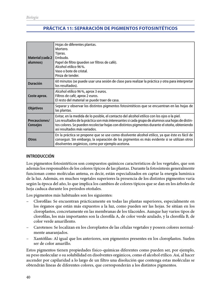 75experimentos en El 2014 40 41 | PDF | Plantas | Cloroplasto