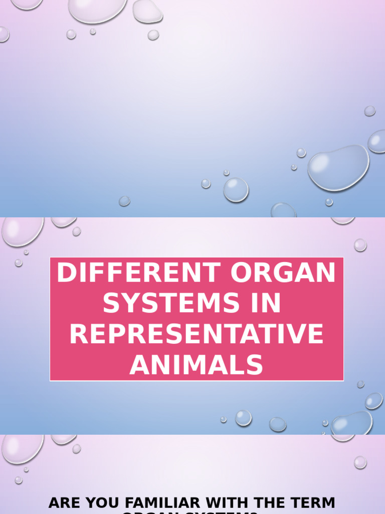 ppt-different-organ-system | PDF | Human Body | Muscle