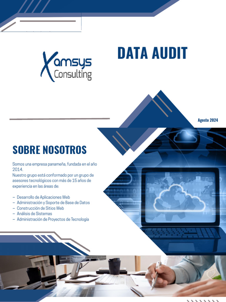 Xamsys DataAudit V6.3.1 | PDF