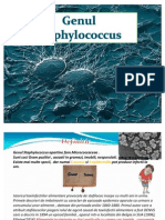 Proiect Staphylcoccus