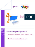 Expert System