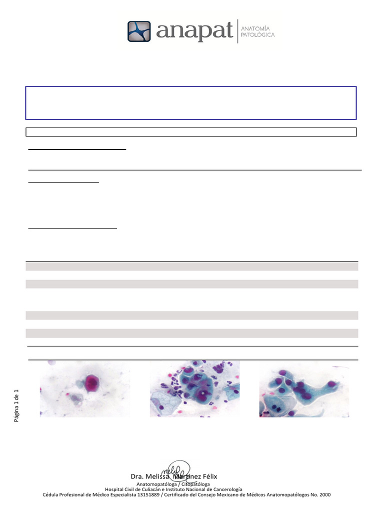 Informe de Citología Cervical LIEBG | PDF | Especialidades Medicas ...