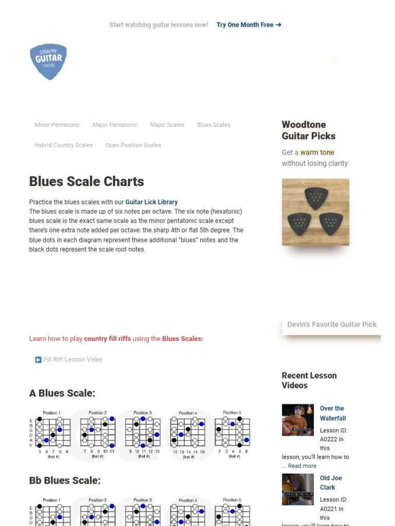 Country Guitar Scales Guide | PDF | Guitars | Scale (Music)