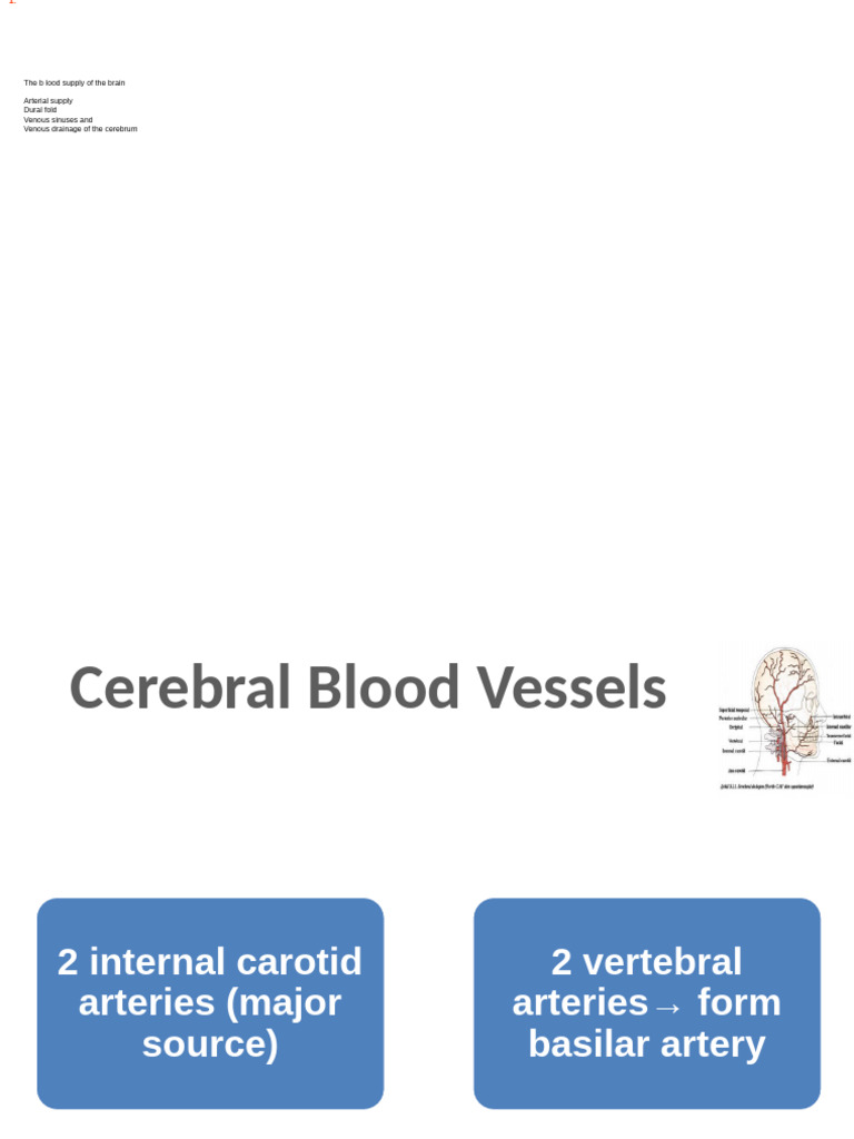 Brain Blood Supply 2 | PDF | Vein | Medical Specialties