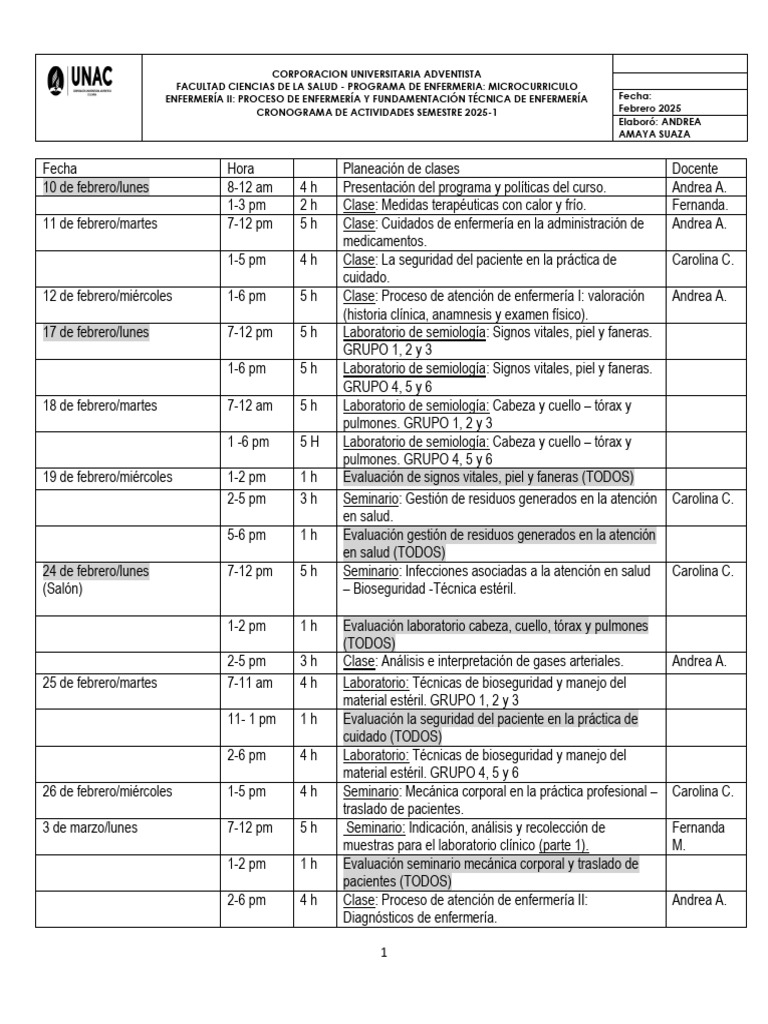 Cronograma Enfermería II 2025-1 | PDF | Enfermería | Laboratorios