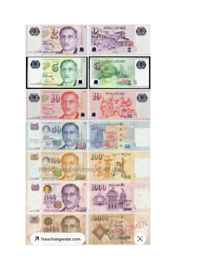Currency Pdf