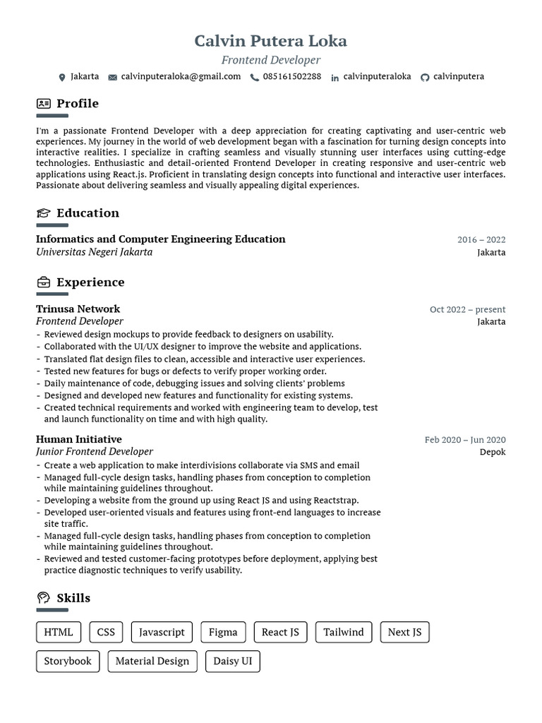 Frontend Developer Profile: Skills & Experience | PDF | World Wide Web ...