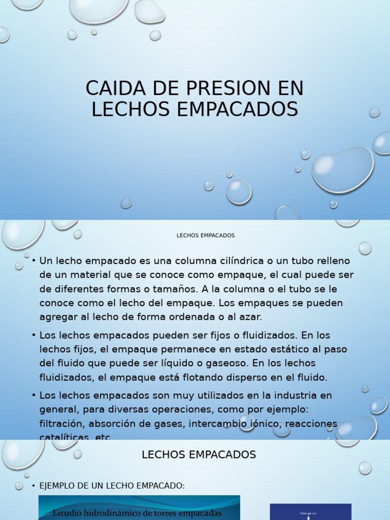 Caída de presión en lechos empacados | PDF | Física Aplicada e ...