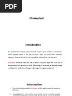 Chloroplast Labelled A Level Diagram | PDF | Chloroplast | Cell (Biology)