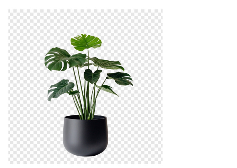Fleur | PDF