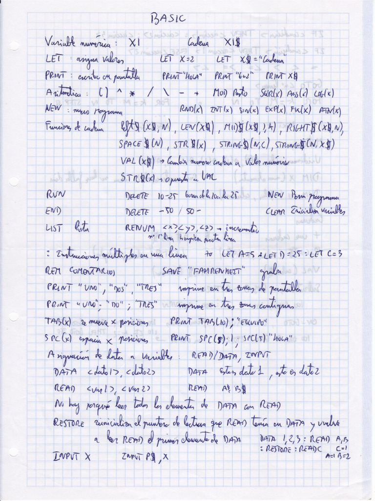 Basic Resumen Dani | PDF