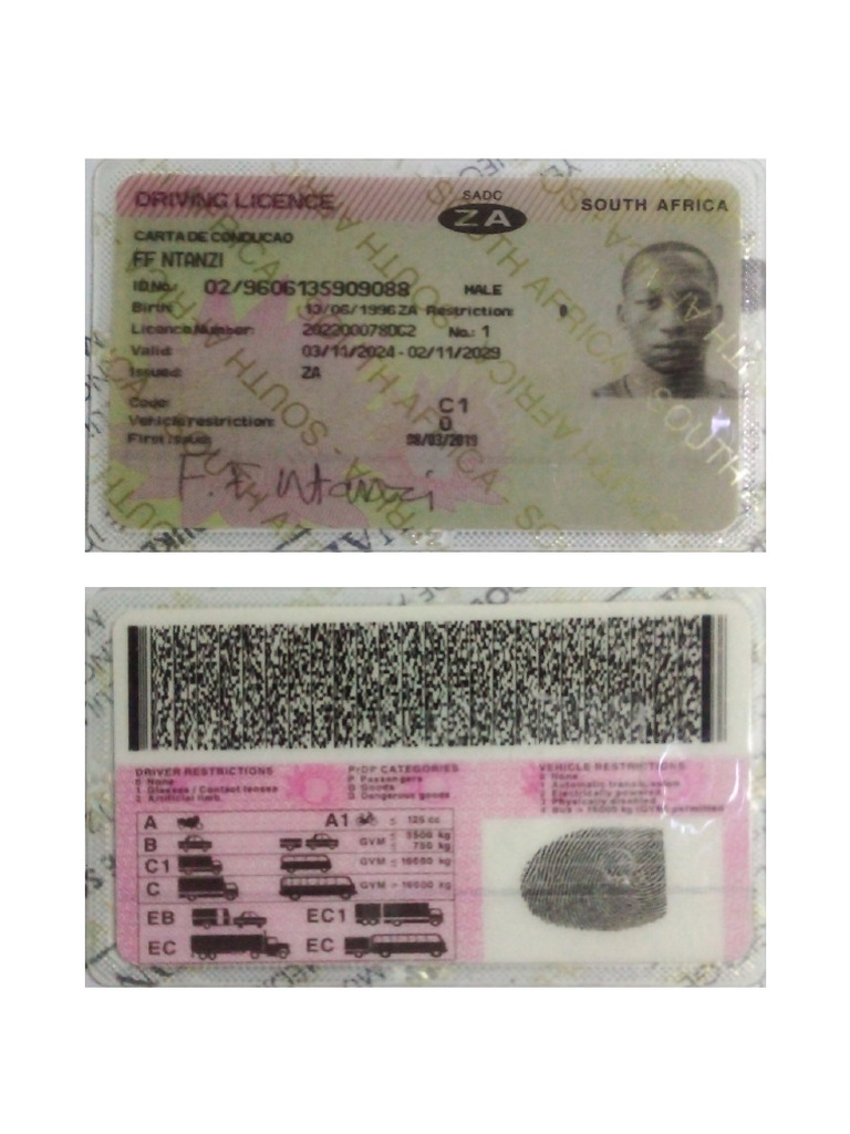 License Card | PDF