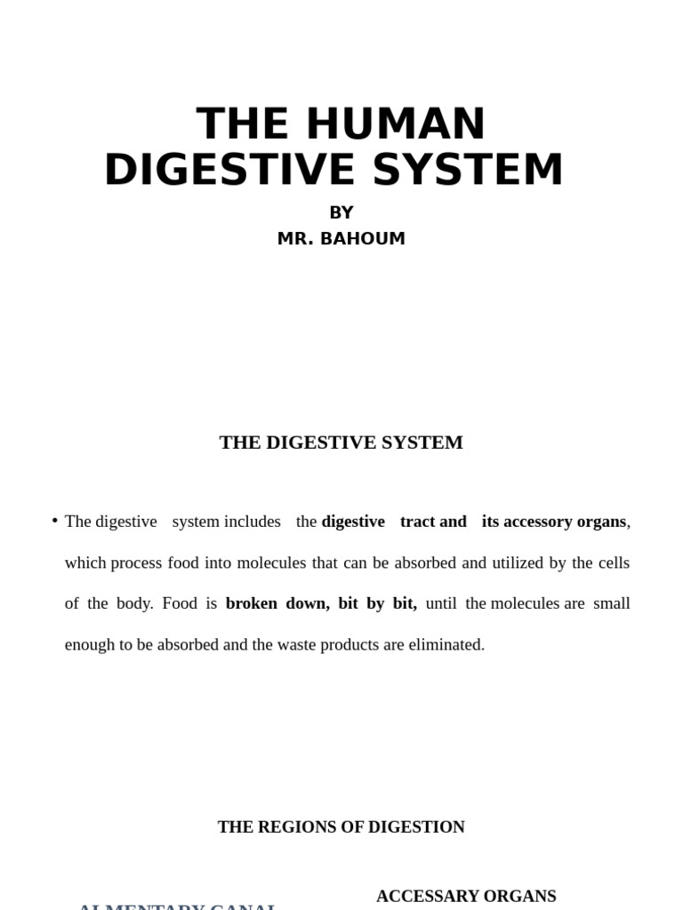 The Digestive System Ppt New New | PDF | Human Digestive System | Digestion