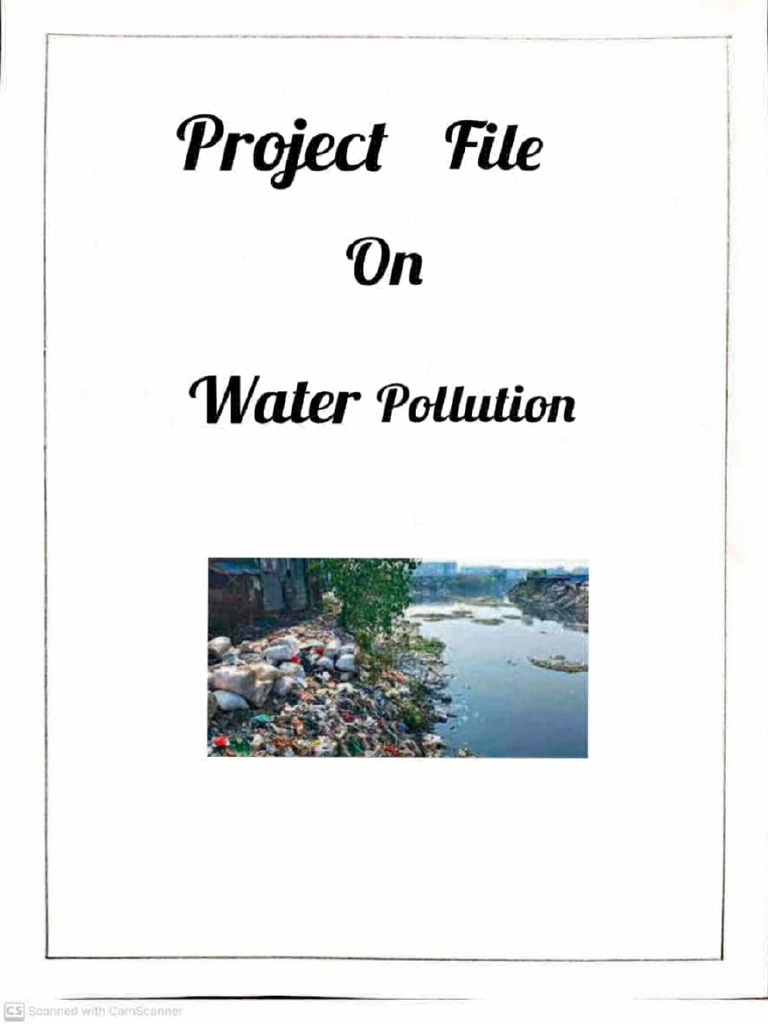 ENVIRONMENTAL STUDIES PROJECT PDF CLASS 11 visual data 4