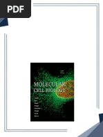 Amino Acid Worksheet 2 Key | PDF | Amino Acid | Proteins