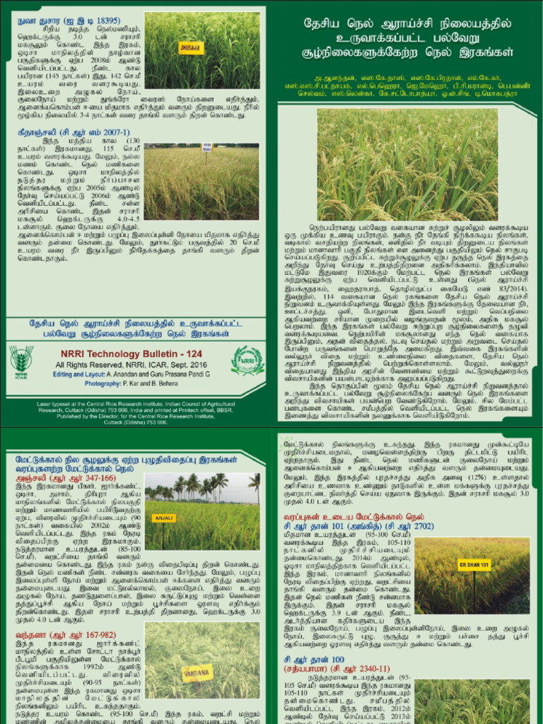 8.-NRRI-Rice-Varieties-for-Diverse-Ecologies_Tamil-2 | PDF