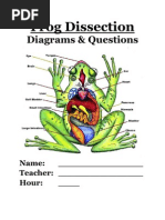 Download Frog Dissection Packet by Randi Lines SN82803606 doc pdf