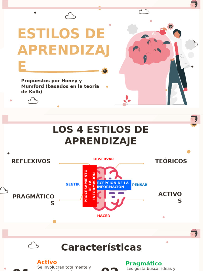 Estilos de Aprendizaje | PDF