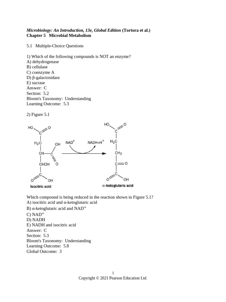 Chapter 05 | PDF | Cellular Respiration | Glycolysis