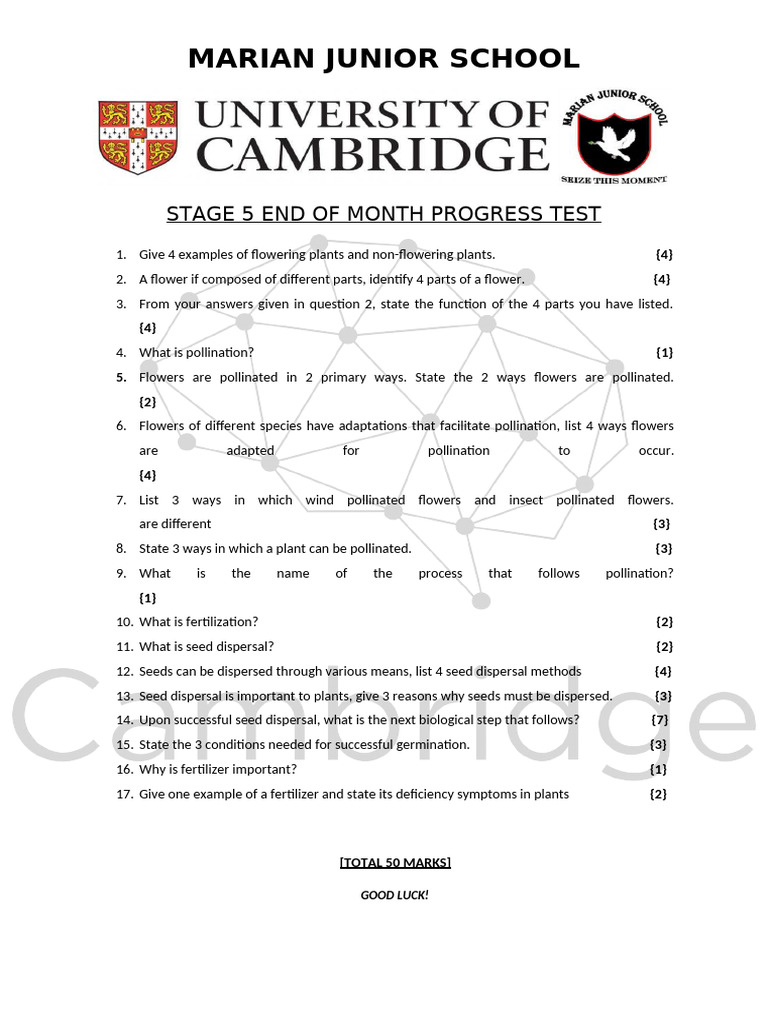 End of Month Test On Plants | PDF
