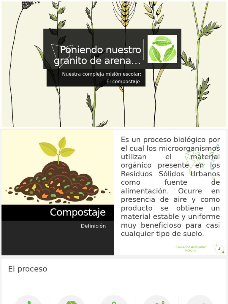Guía Completa sobre Compostaje Escolar | PDF | Compost