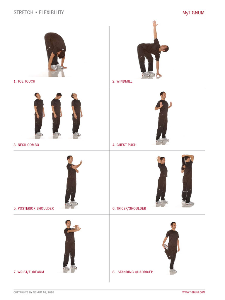 Essential Stretching Exercises Guide | PDF
