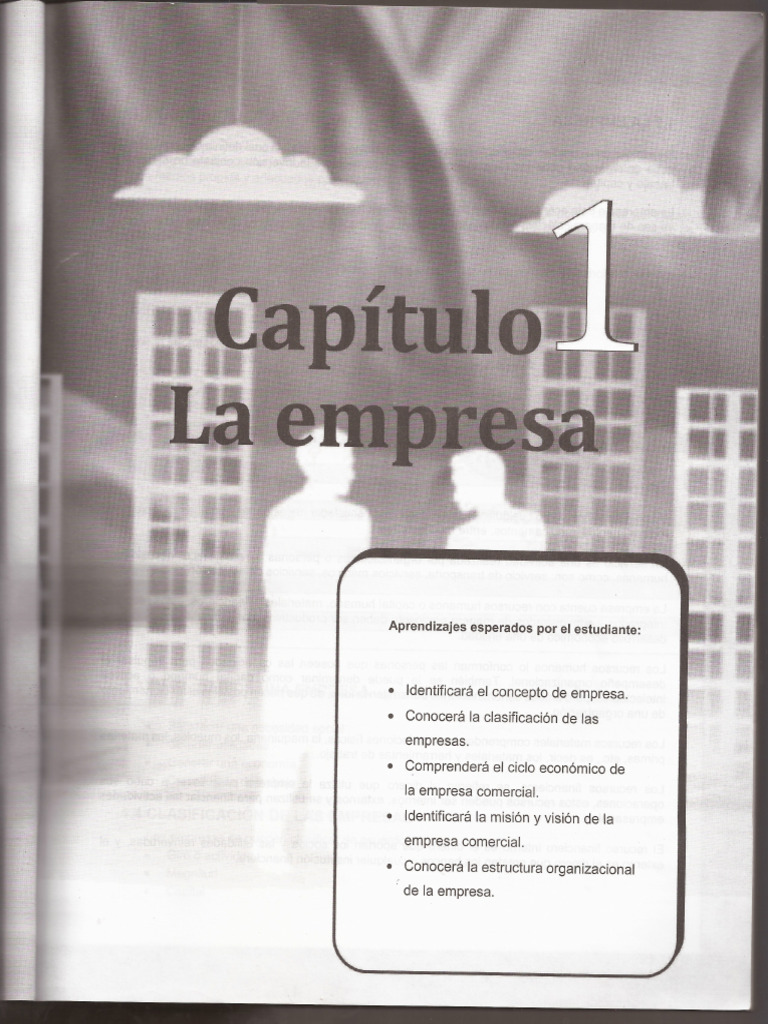 Contabilidad I Capitulo 1 | PDF