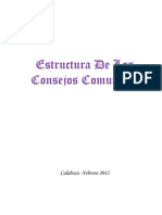 Estructura de Los Consejos Comunales