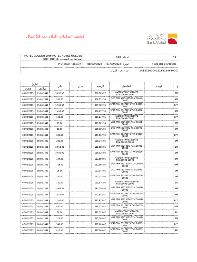 كشف حسابات مالية مفصلة 2025 | PDF