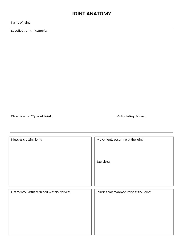 Comprehensive Joint Anatomy Guide | PDF | Joint | Musculoskeletal System