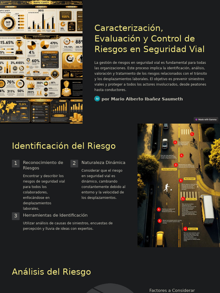 Caracterizacion Evaluacion y Control de Riesgos en Seguridad Vial | PDF ...
