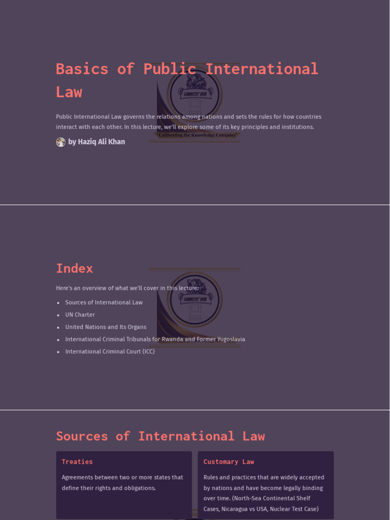 Overview of Public International Law | PDF | International Law ...