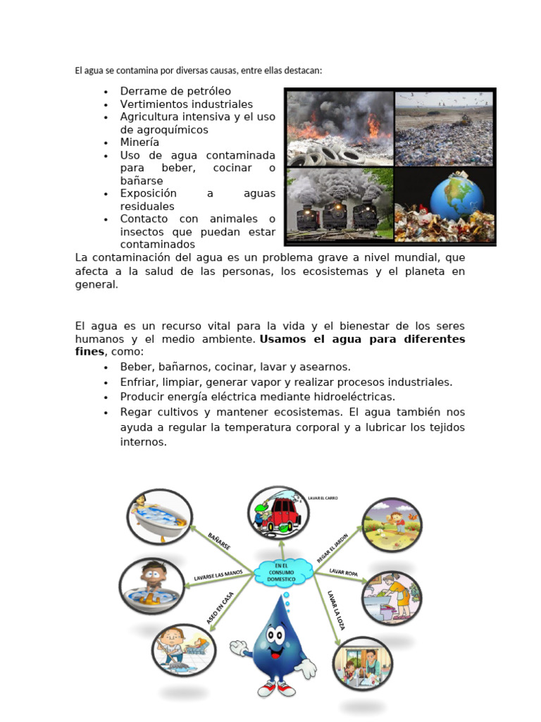 Causas de la Contaminación del Agua | PDF
