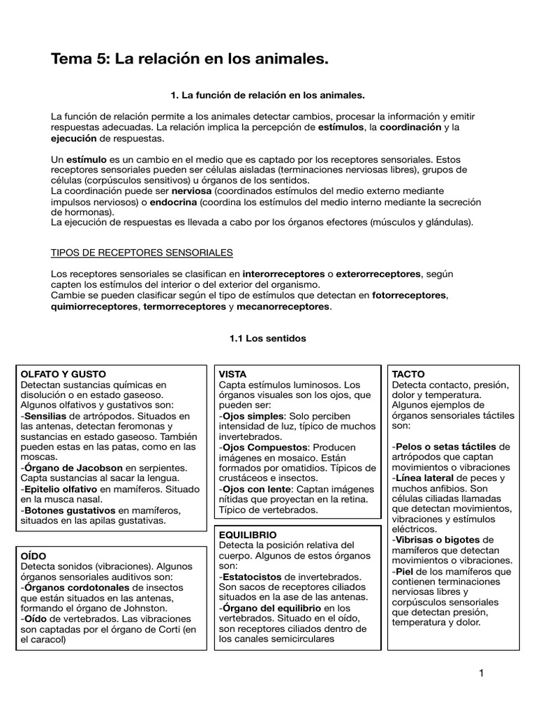 Función de Relación en Animales | PDF | Sistema nervioso | Cerebro