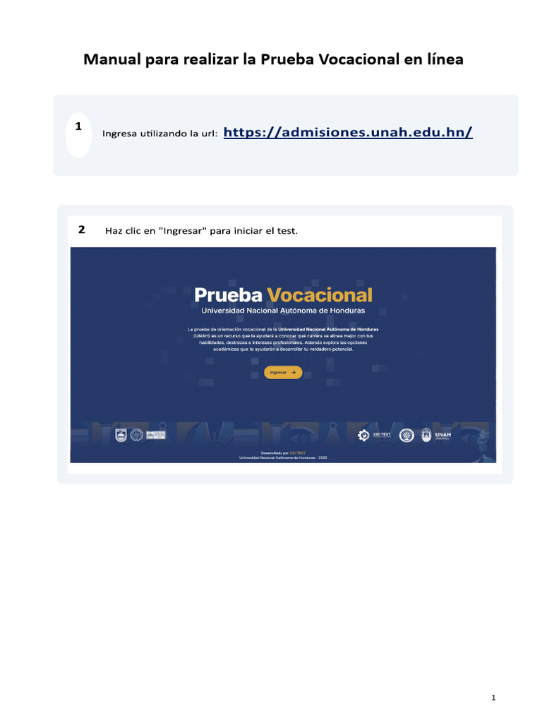 Guía para Prueba Vocacional en Línea | PDF