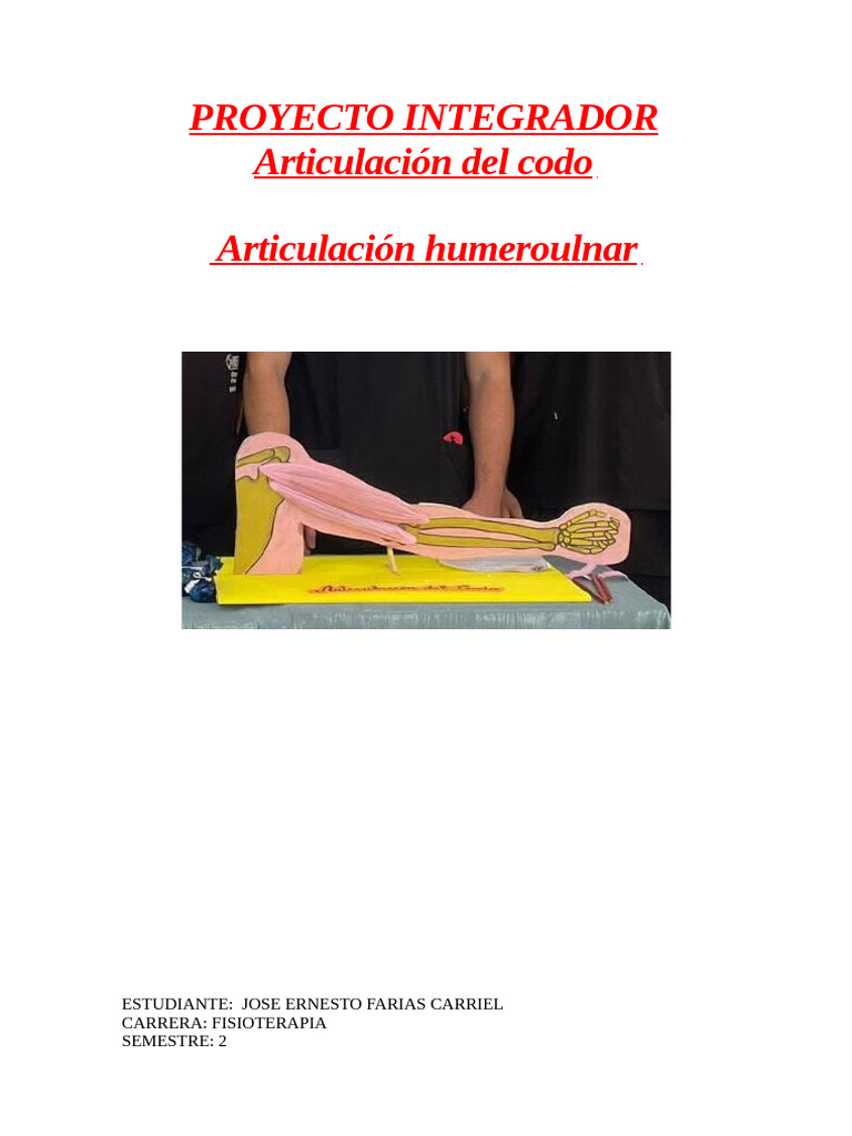 PROYECTO INTEGRADOR Articulación Del Codo | PDF