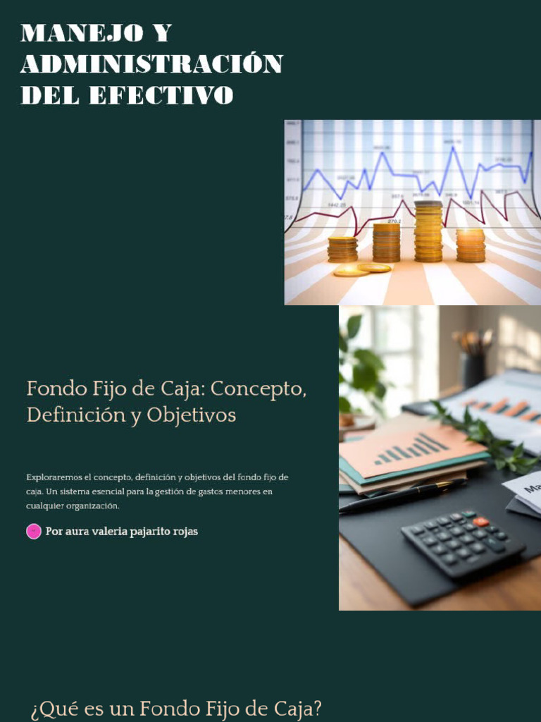 Manejo y Administracion Del Efectivo | PDF