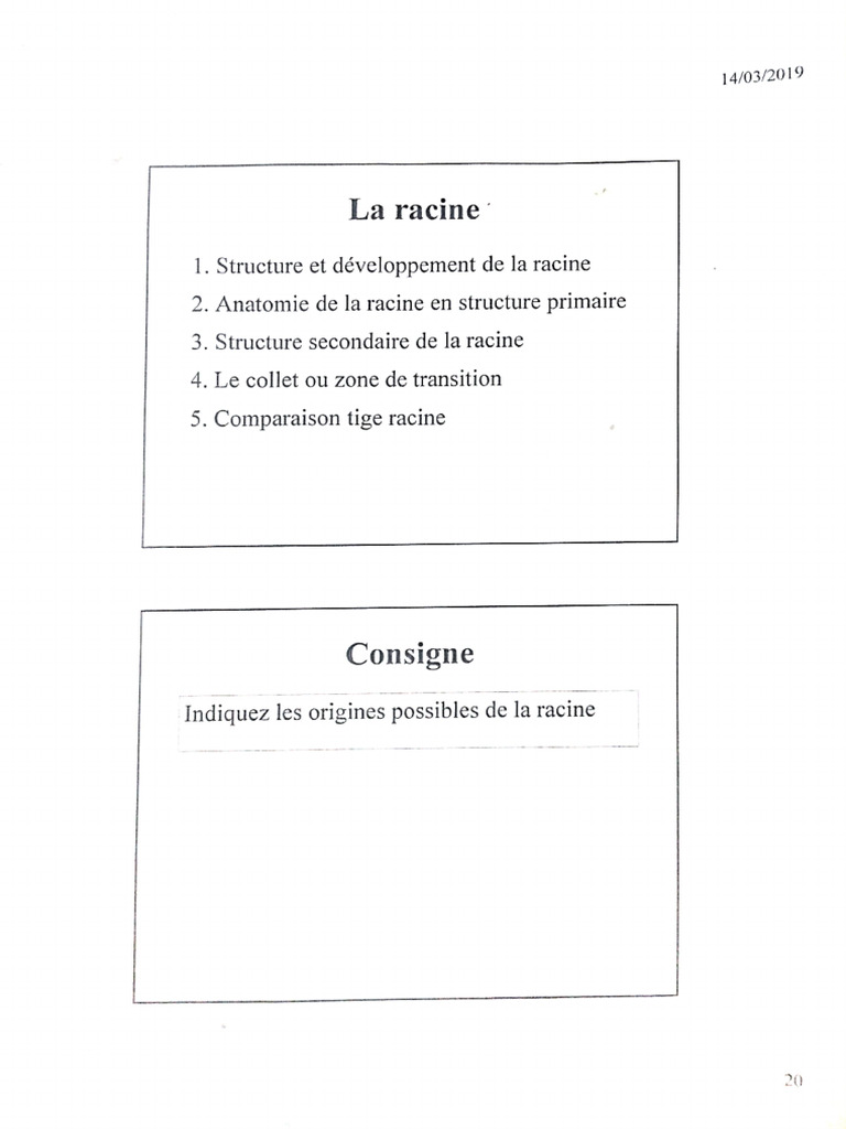 4 Racine | PDF