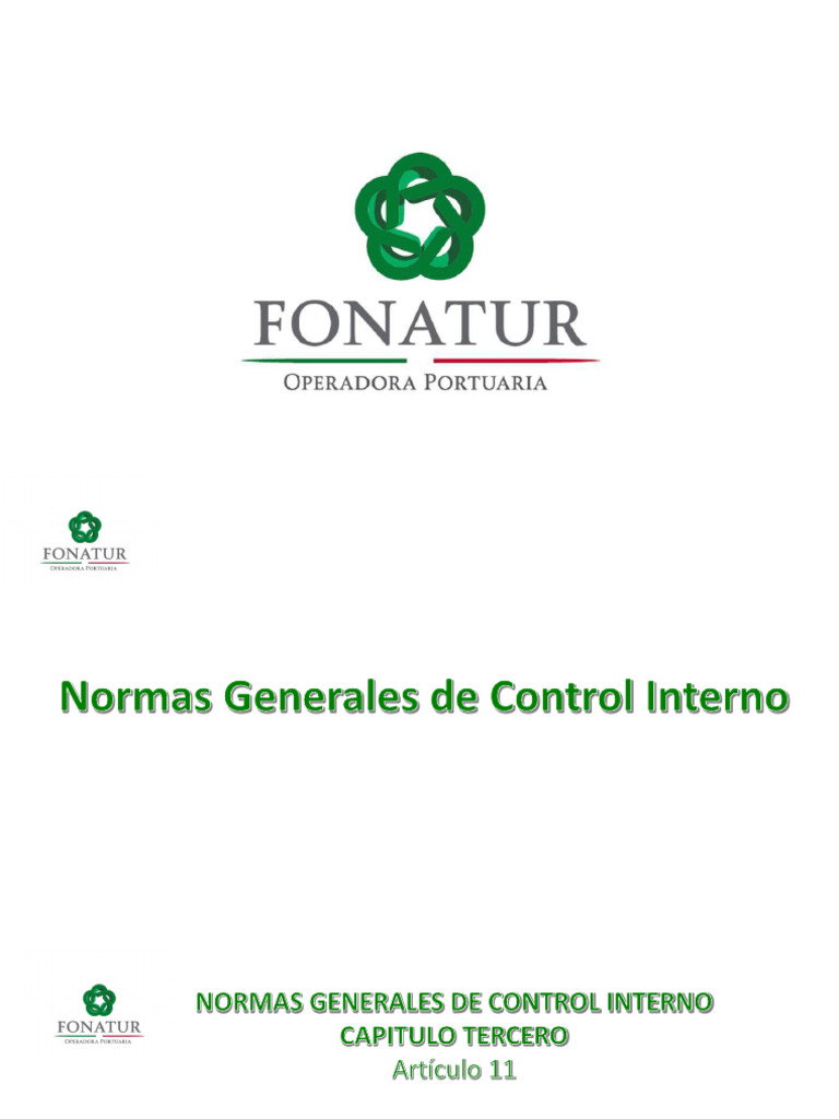 Normas de Control Interno Gubernamental | PDF | Servidor (Computación ...