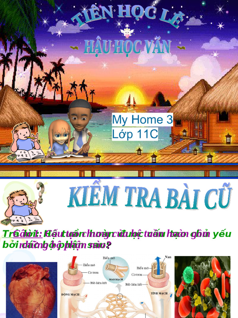 Ho T Đ NG C A Tim | PDF