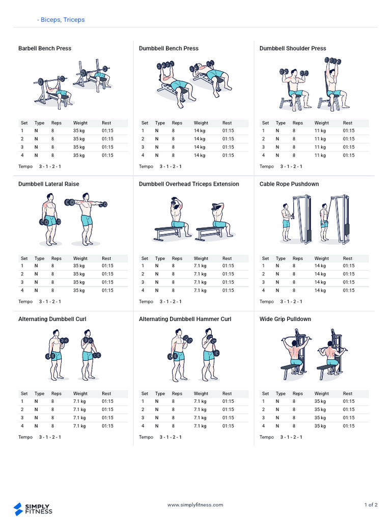 Biceps and Triceps Workout Plan | PDF | Management Of Obesity ...
