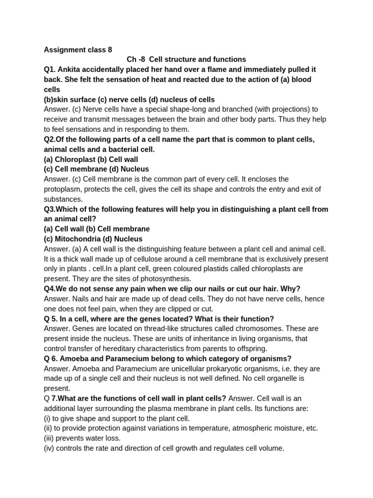 8th ASSIGNMENT CH 8 CELL STRUCTURE AND FUNCTIONS | PDF | Cell (Biology ...