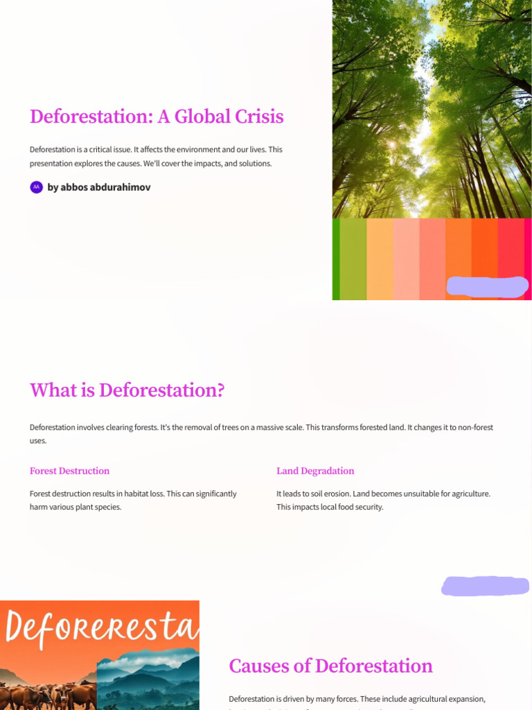 Deforestation: Causes, Impacts, Solutions | PDF | Deforestation ...