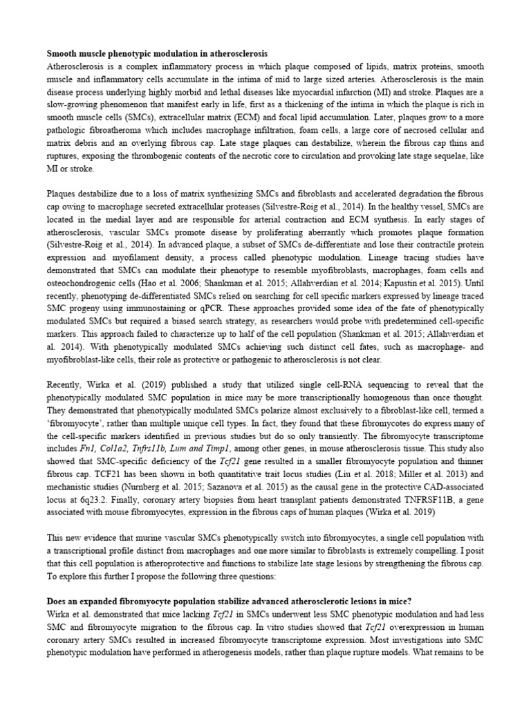 RESEARCH-BASED-ESSAY-SAMPLE | PDF | Atheroma | Atherosclerosis